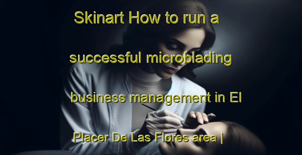 Skinart How to run a successful microblading business management in El Placer De Las Flores area | MicrobladingTraining | MicrobladingClasses | SkinartTraining-Mexico